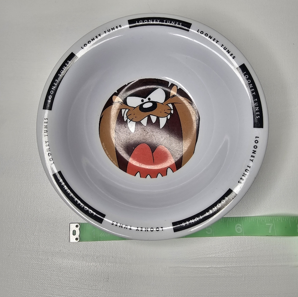 Set of 3 Looney Tunes Taz Plastic Bowls | ZAK Designs | 6.5” Early 2000s Vintage